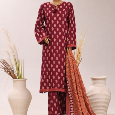 Maroon Majesty – Deep Maroon Printed Suit